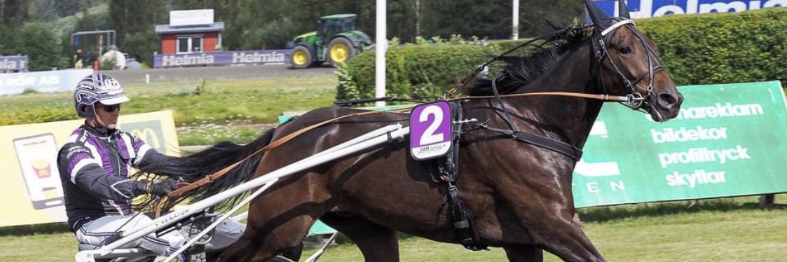 Peter iOS 26.2 banner