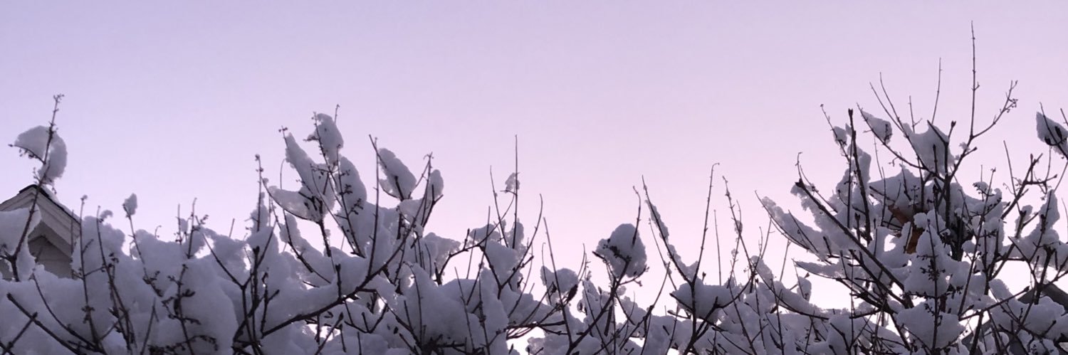 Tatikp's profile banner image