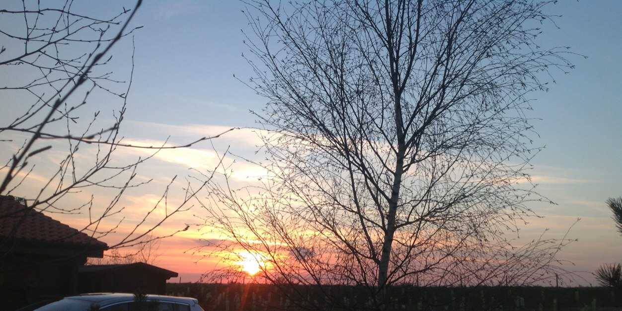 timparrett's profile banner image