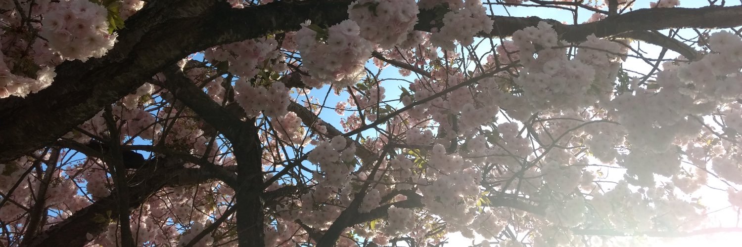 ED0yle's profile banner image