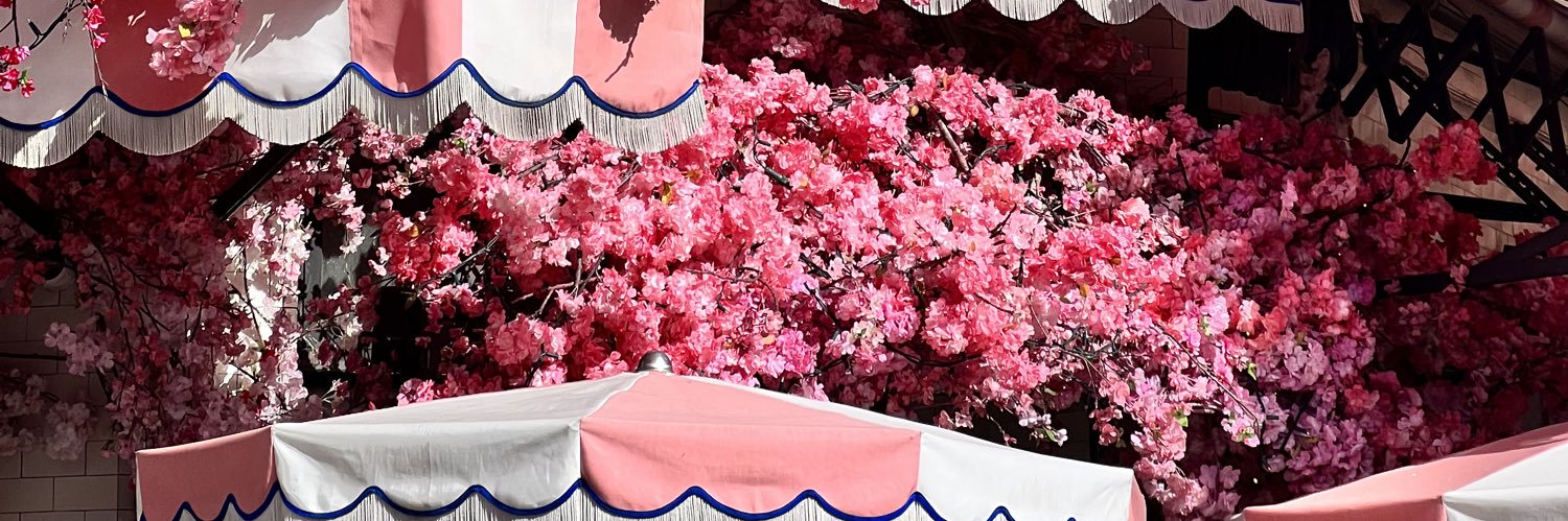 deborah🧚🏽‍♀️ banner