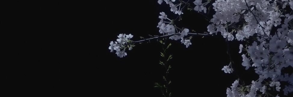 SxcP's profile banner image