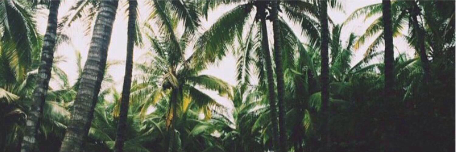Twitter banner for @Jalopy