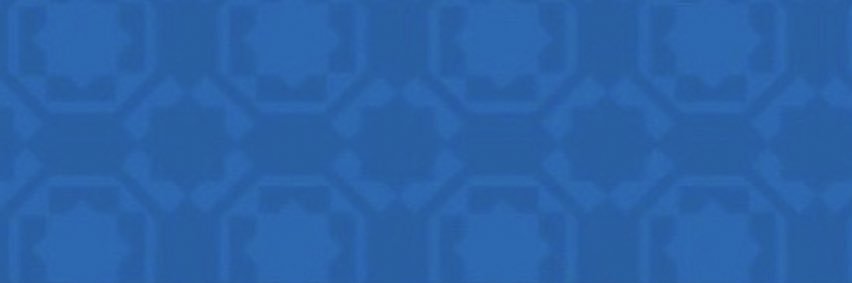 Alamrisaa's profile banner image