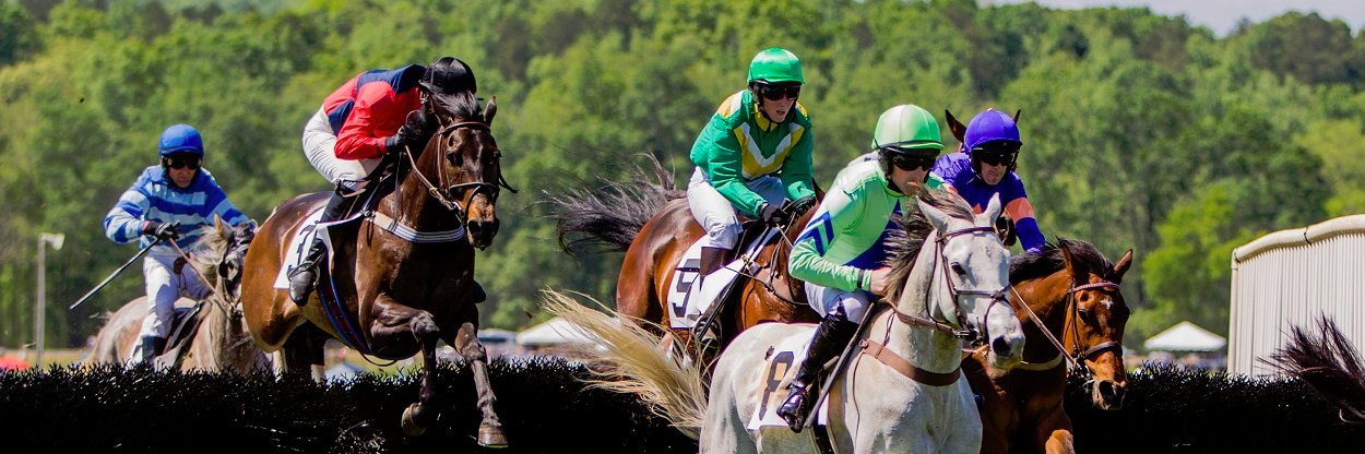 AtlSteeplechase's profile banner image