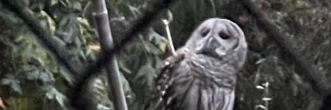 SallyMQuain's profile banner image