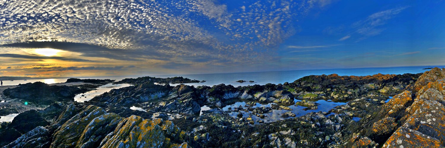 Astutula's profile banner image