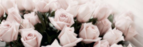 ldrisart's profile banner image