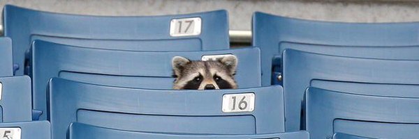 canamitch Profile Banner