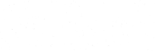 🌼 banner