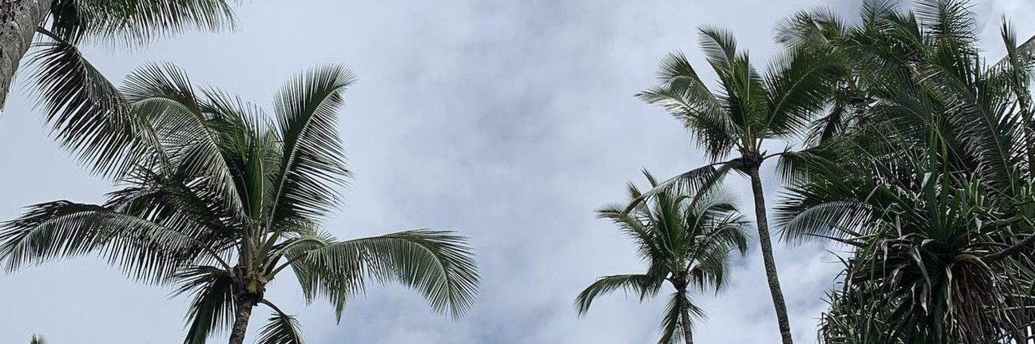wadhhalb's profile banner image