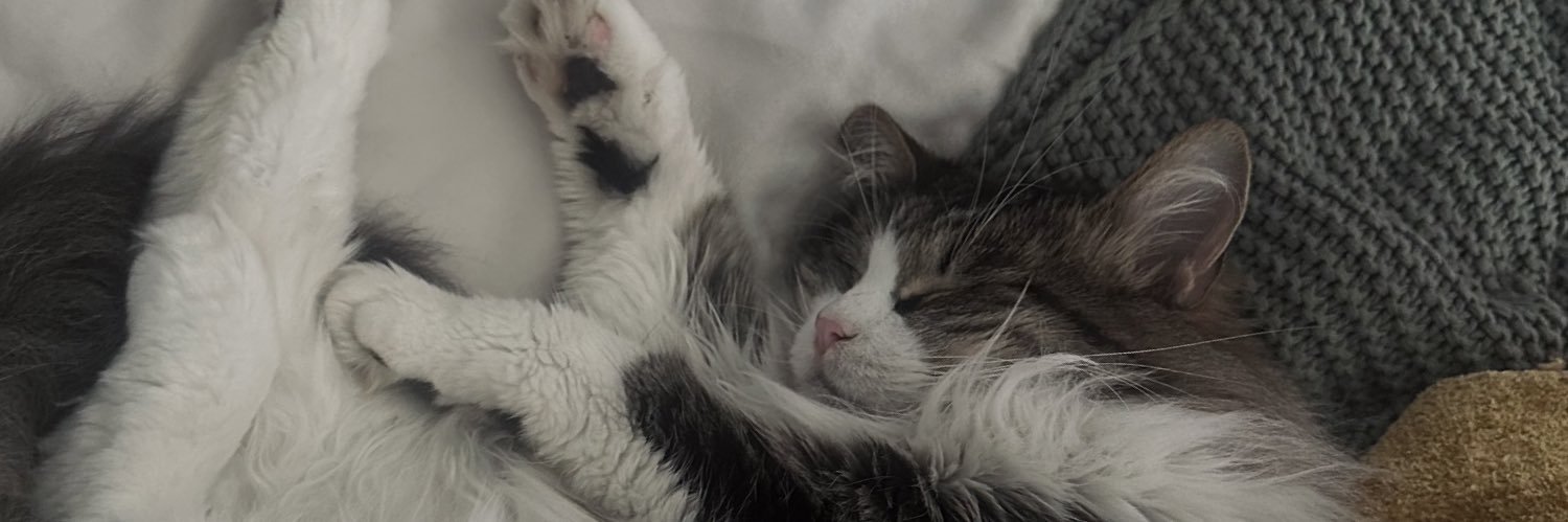 kasiahfox's profile banner image