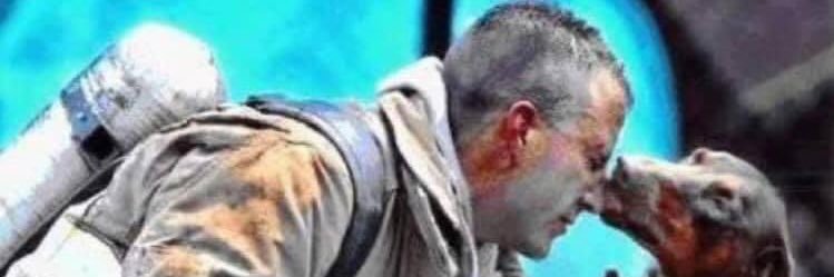 salpigktis's profile banner image
