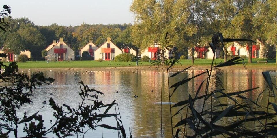 Groene_Heuvels's profile banner image