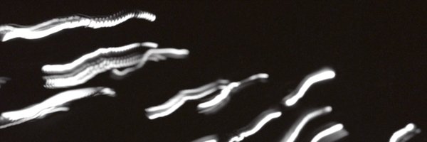 tsgraye Profile Banner