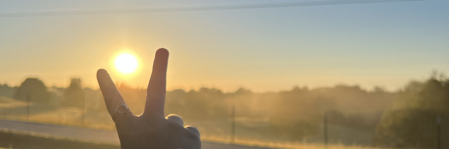 VS banner