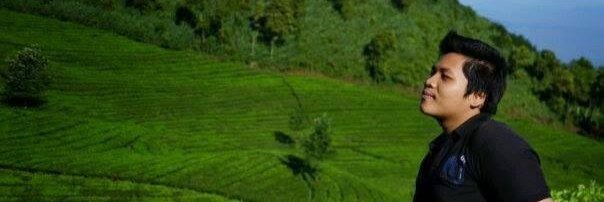 siyansen's profile banner image