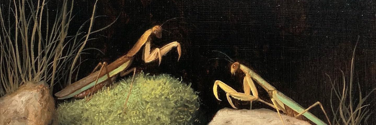 signedbysalazar's profile banner image