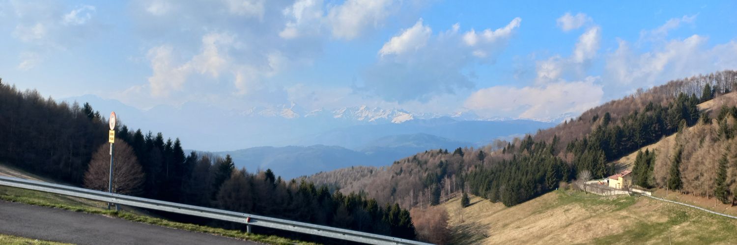 Alessandro Ponzetto banner