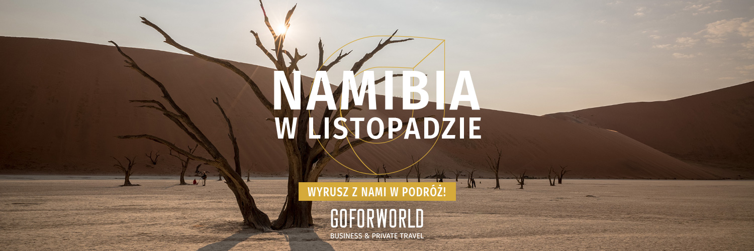 goforworld banner