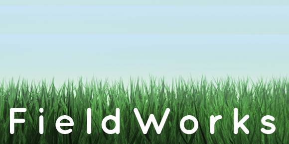 fieldworksllc's profile banner image