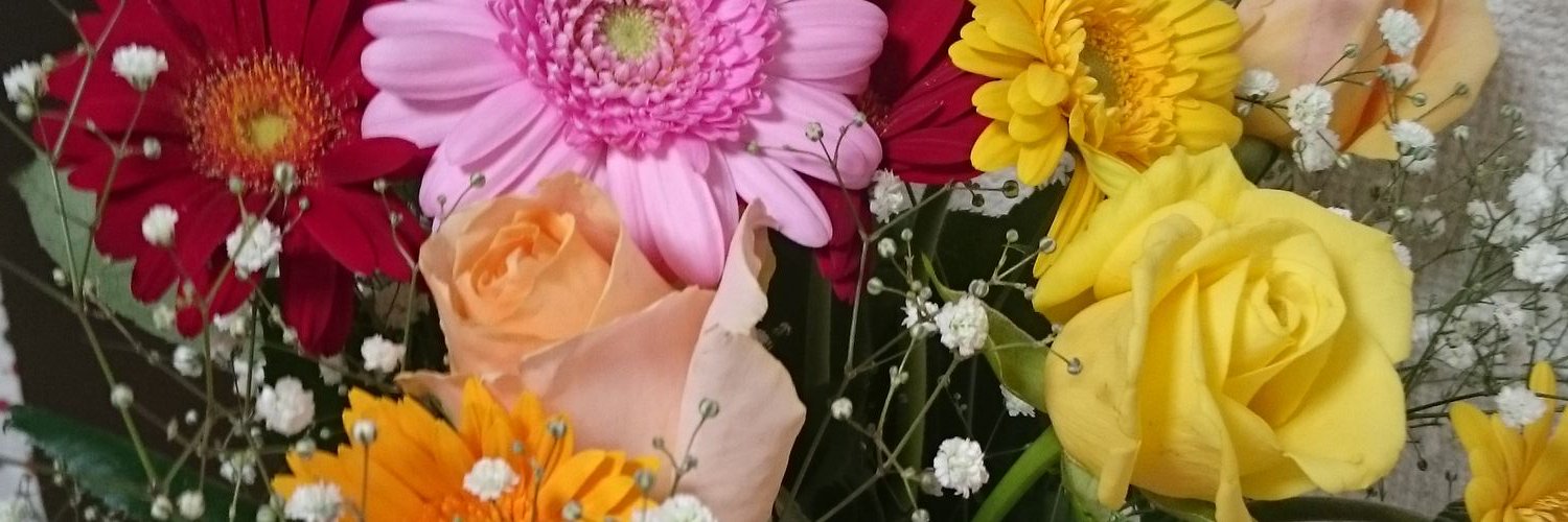 mitarasianmitu's profile banner image