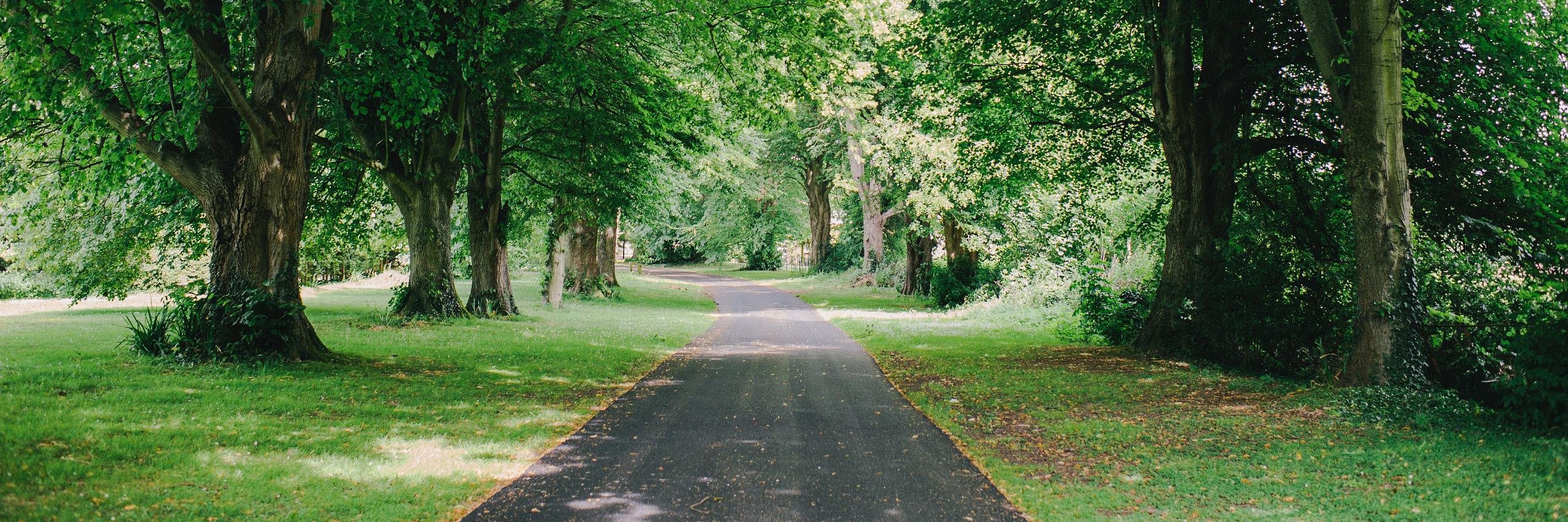 saltcote's profile banner image