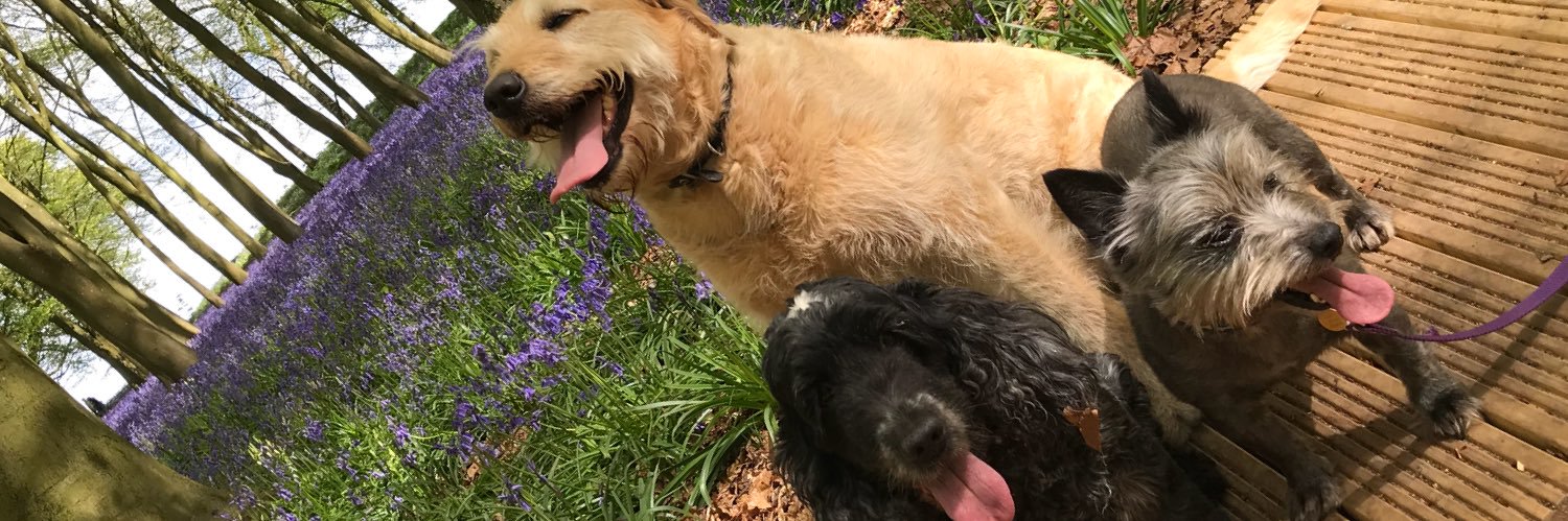 Dr Linda Culling banner