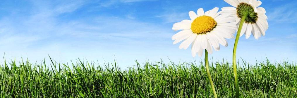 iamNewCreation's profile banner image