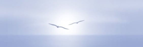 ikgh_4's profile banner image