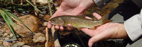 OrvisFlyFishing Profile Banner