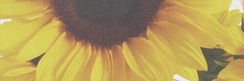ShannonTester17's profile banner image
