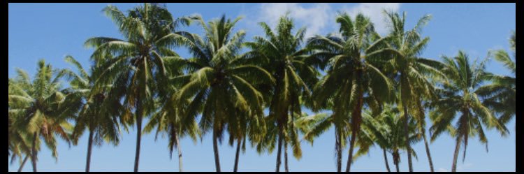 KansasLarkin's profile banner image