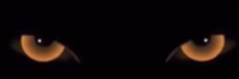 RouslinM's profile banner image