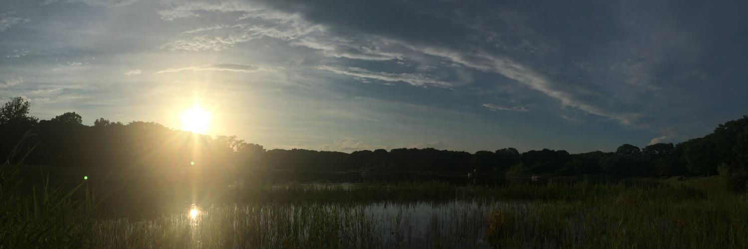 sagirisa's profile banner image