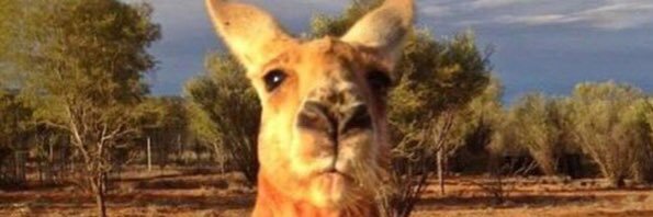 harriklemetti's profile banner image