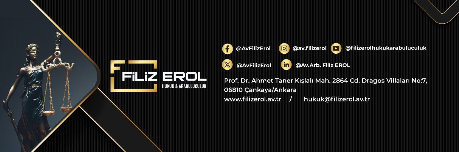 AvFilizErol's profile banner image