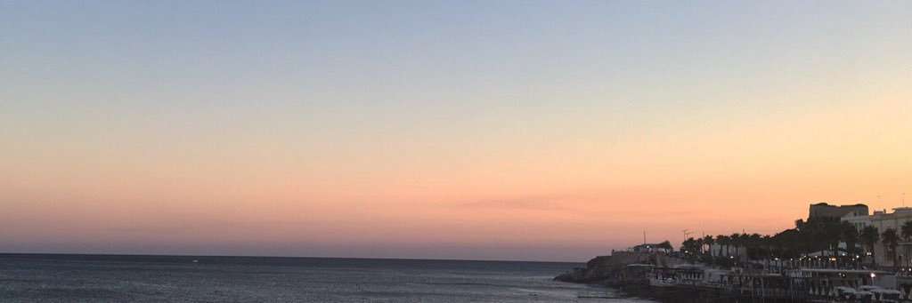 Marta_Carnio's profile banner image