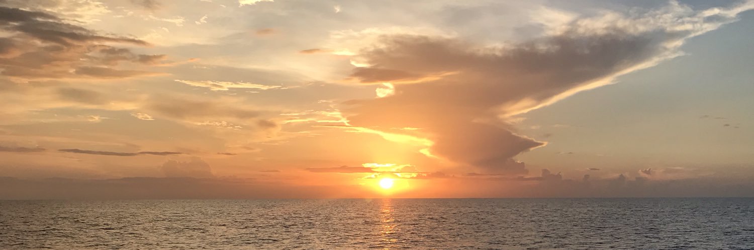Rheannax3's profile banner image