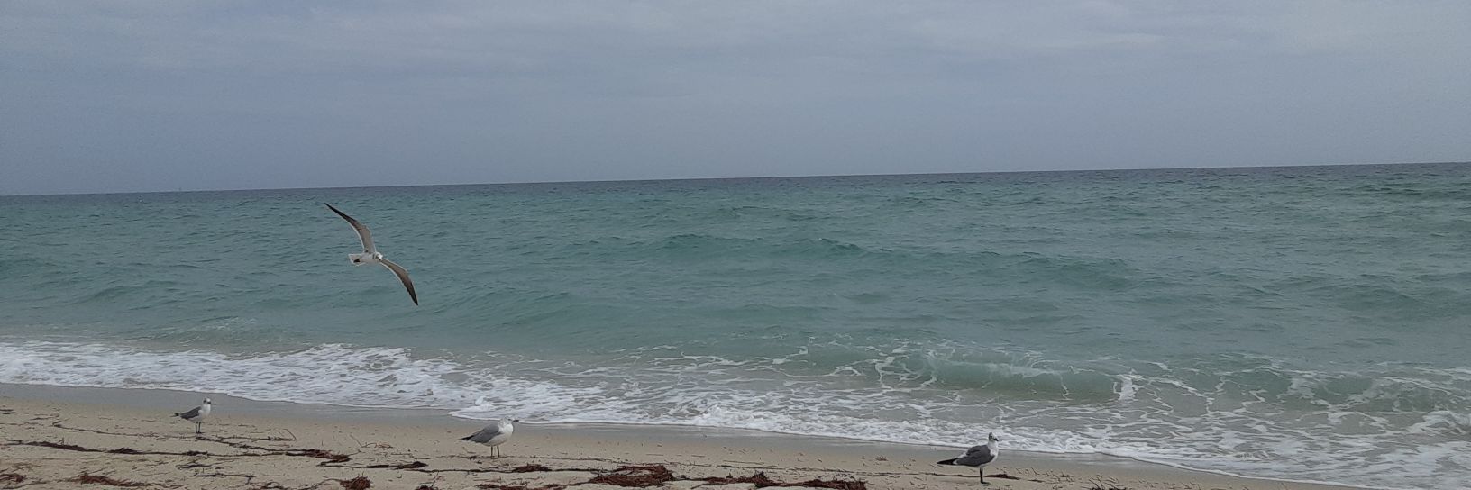 carlachacon's profile banner image