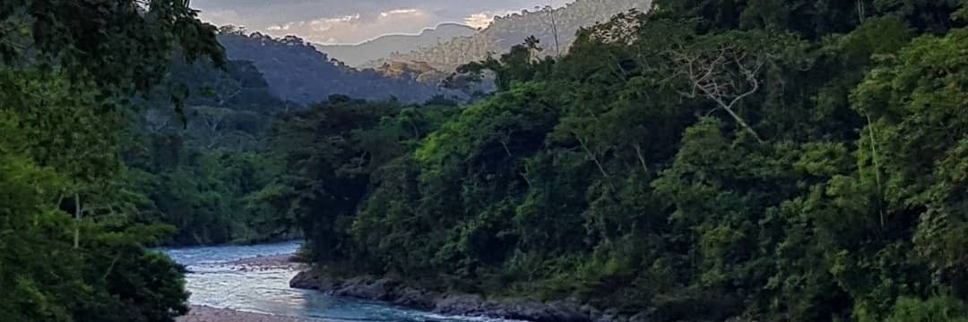 CanRau building konduktum banner