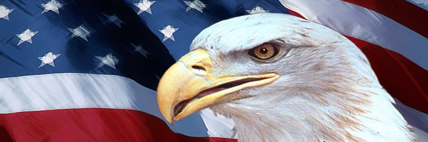 k_peringer's profile banner image