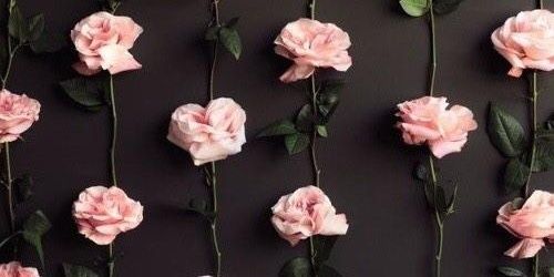 nooooniy1's profile banner image