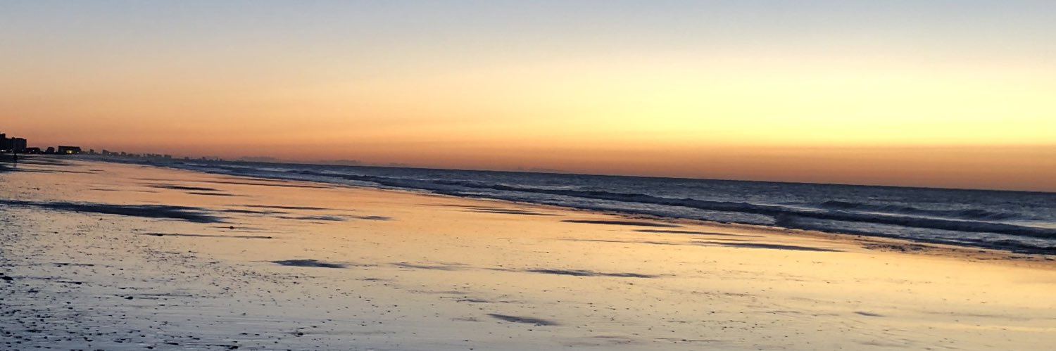 Kerri DeCourcey banner