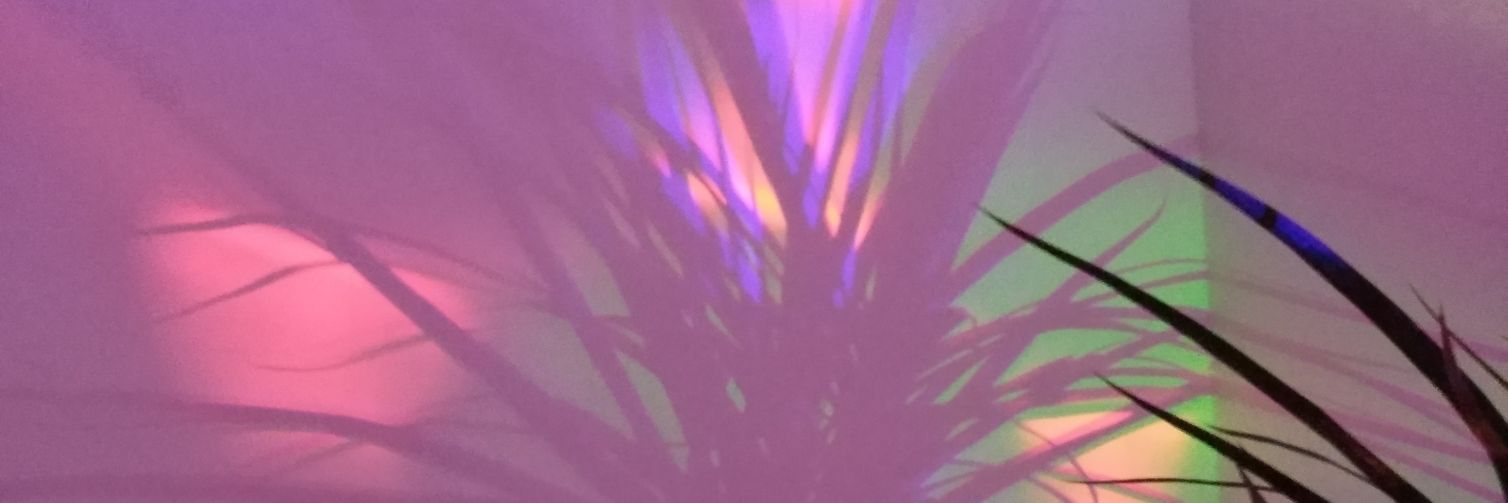 ileanoch's profile banner image