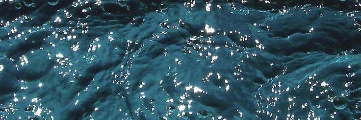 narceja07's profile banner image