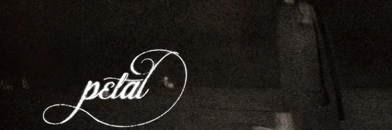 aesthetic76040's profile banner image