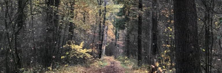 Francis Schiltkamp🎗️ banner