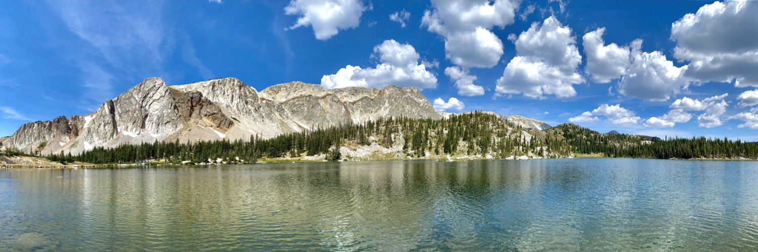 Addison Wissel banner