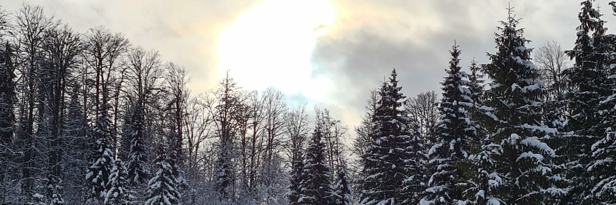 andreileroumain's profile banner image